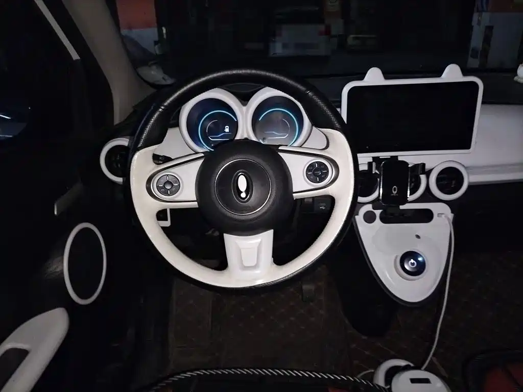 Ora Black Cat 2022 2022 Facelift 301km Pet Edition LFP Version