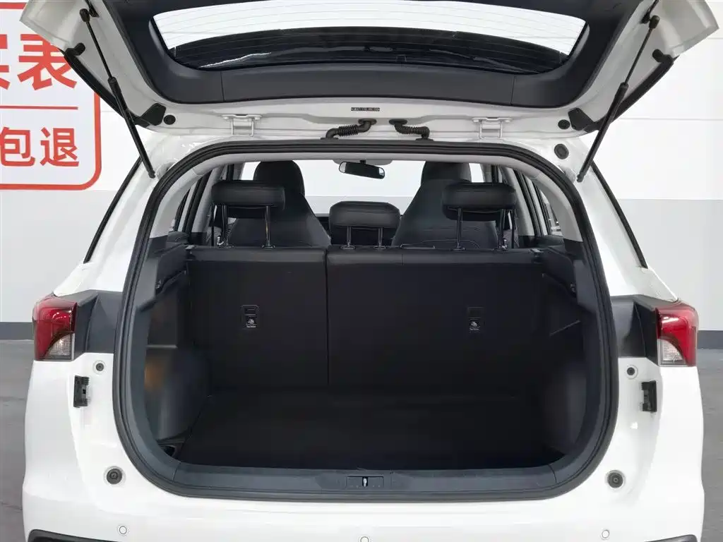 GAC Trumpchi Trumpchi GS4 2020 270T Manual Elite Version фото 16