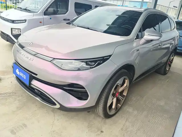 Denza X 2021