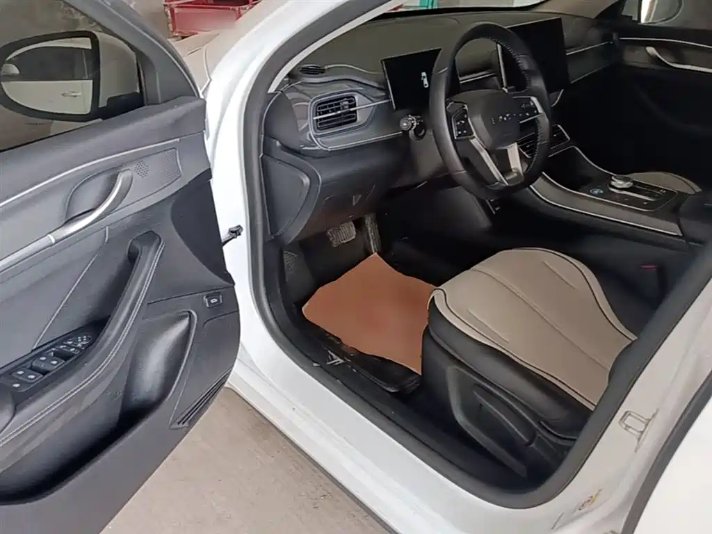 BYD Destroyer 05 2024 Glory Edition DM-i 55KM Luxury фото 16