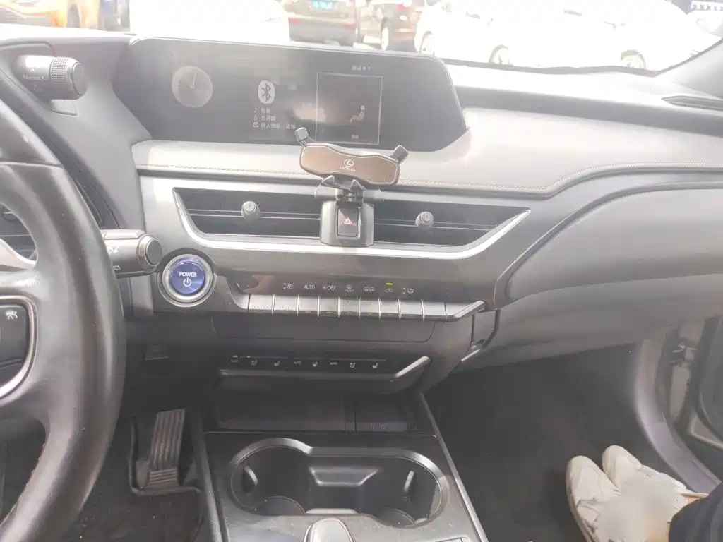 Lexus UX Electric 2021 2020 300e Pure Yue Edition