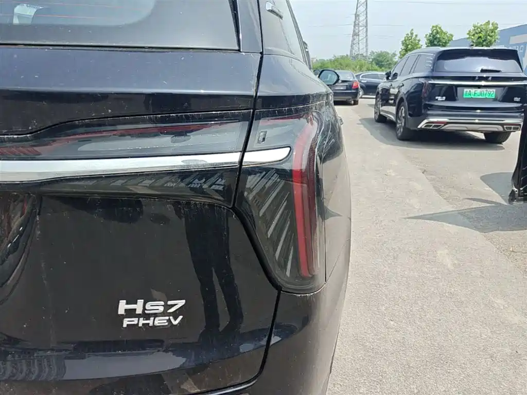 Hongqi HS7 PHEV 2024 2.0T PHEV AWD Qichang Edition 7-seater фото 8