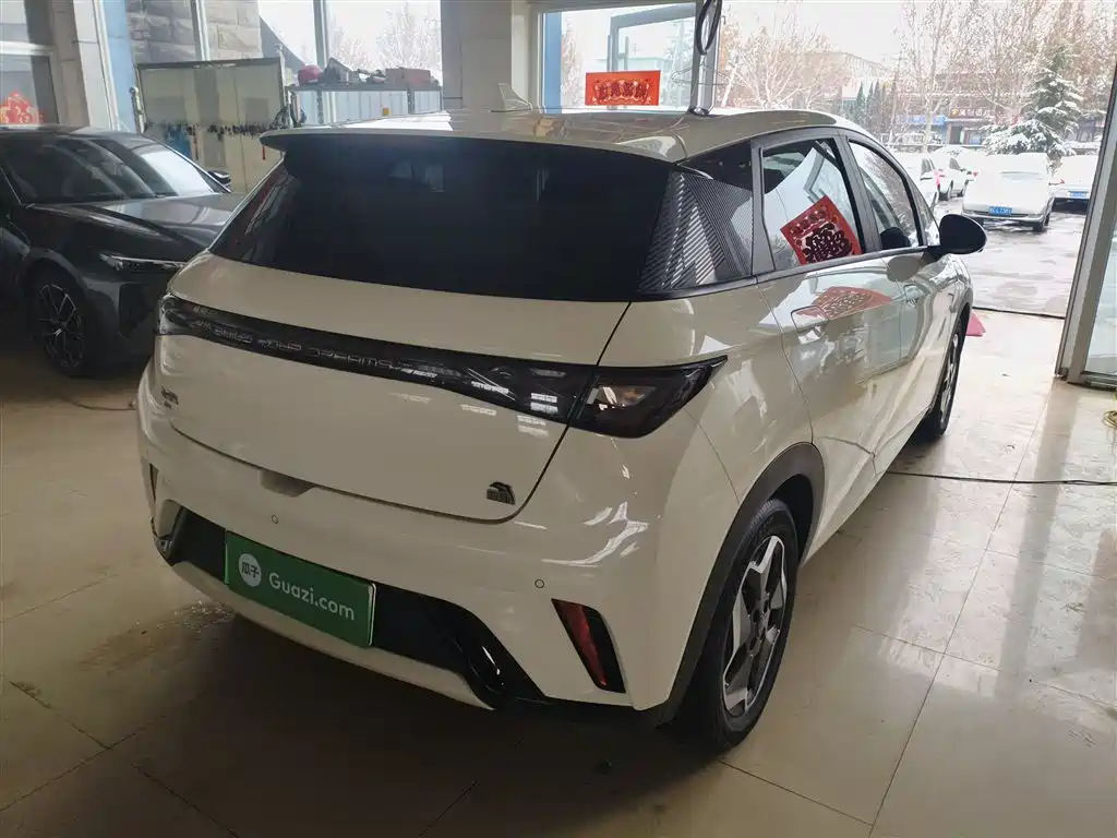 BYD Dolphin 2021 Model 405km Fashion Edition фото 7