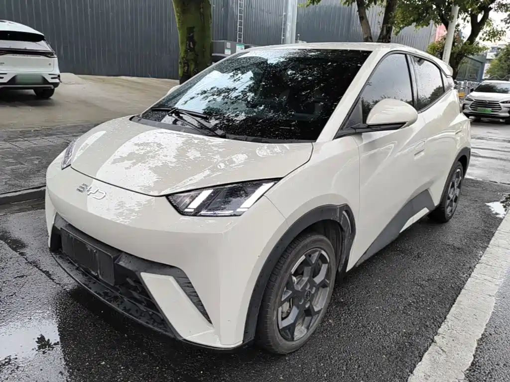 BYD Seagull 2025