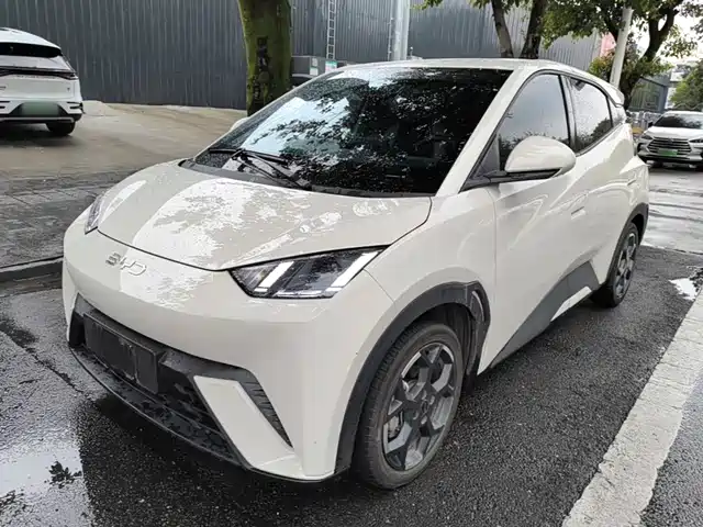 BYD Seagull 2025