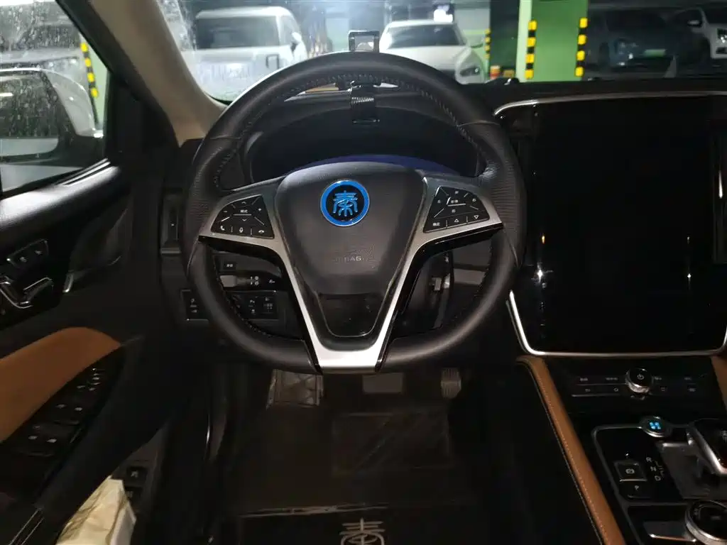 BYD Qin New Energy 2018 Qin EV450 Smart Connected Premium Edition фото 3