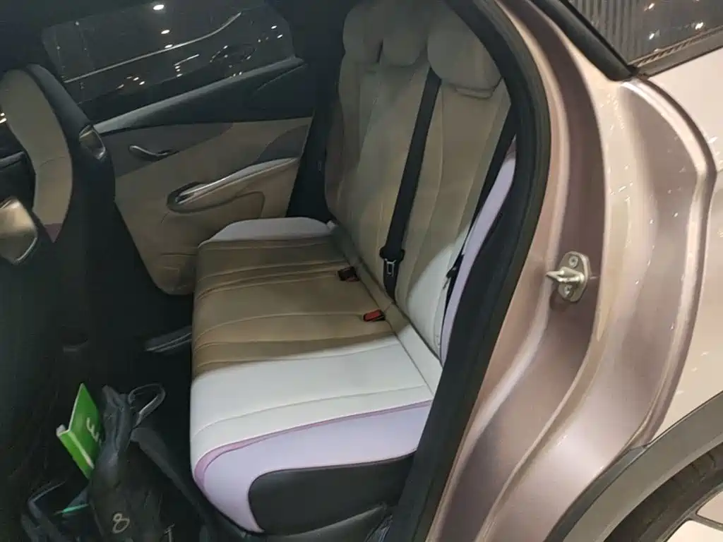 BYD Dolphin 2021 401km Knight Edition фото 17