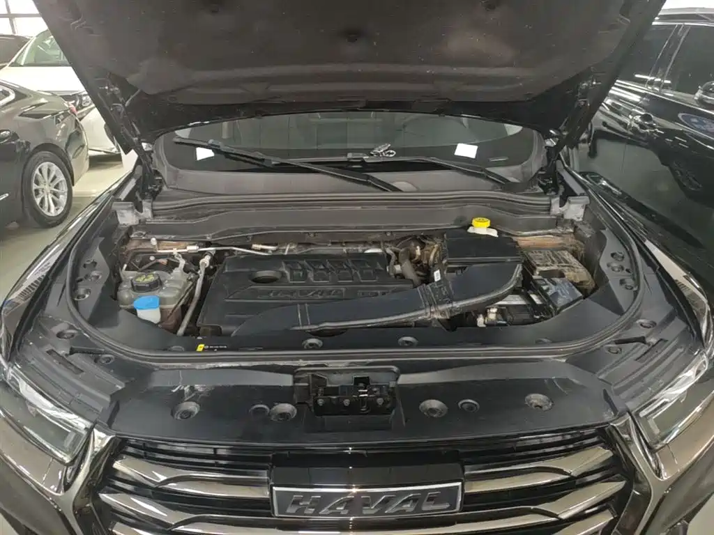 Haval H6 2021 Model National Trend Edition 1.5T Auto Champion фото 20