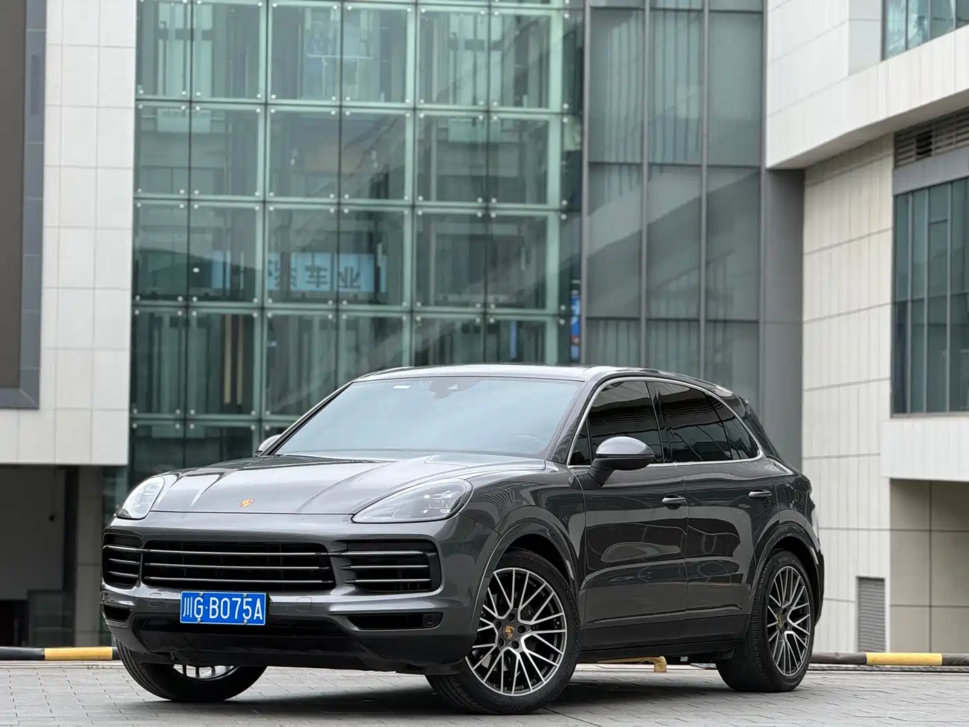 Porsche Cayenne 2022 Cayenne 3.0T Platinum Edition