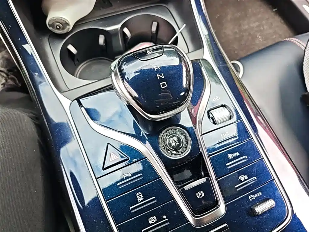 BYD Qin PLUS 2021 DM-i 55KM Flagship фото 14