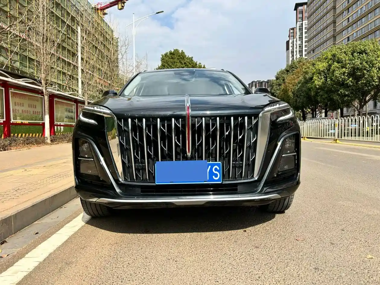 Hongqi HS3 2024 1.5T Aspiration Edition фото 2