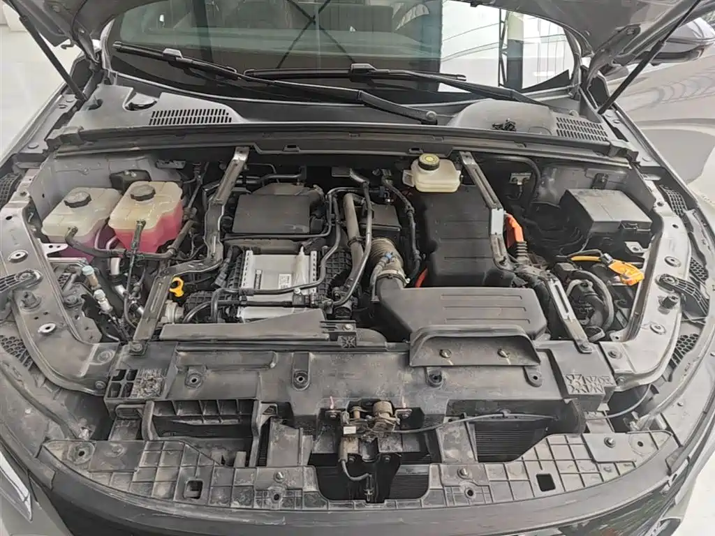 BYD Tang New Energy 2025 DM-i 115KM Premium фото 20