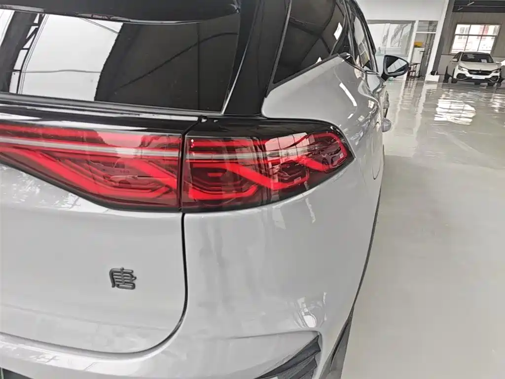 BYD Tang New Energy 2025 DM-i 115KM Premium фото 8