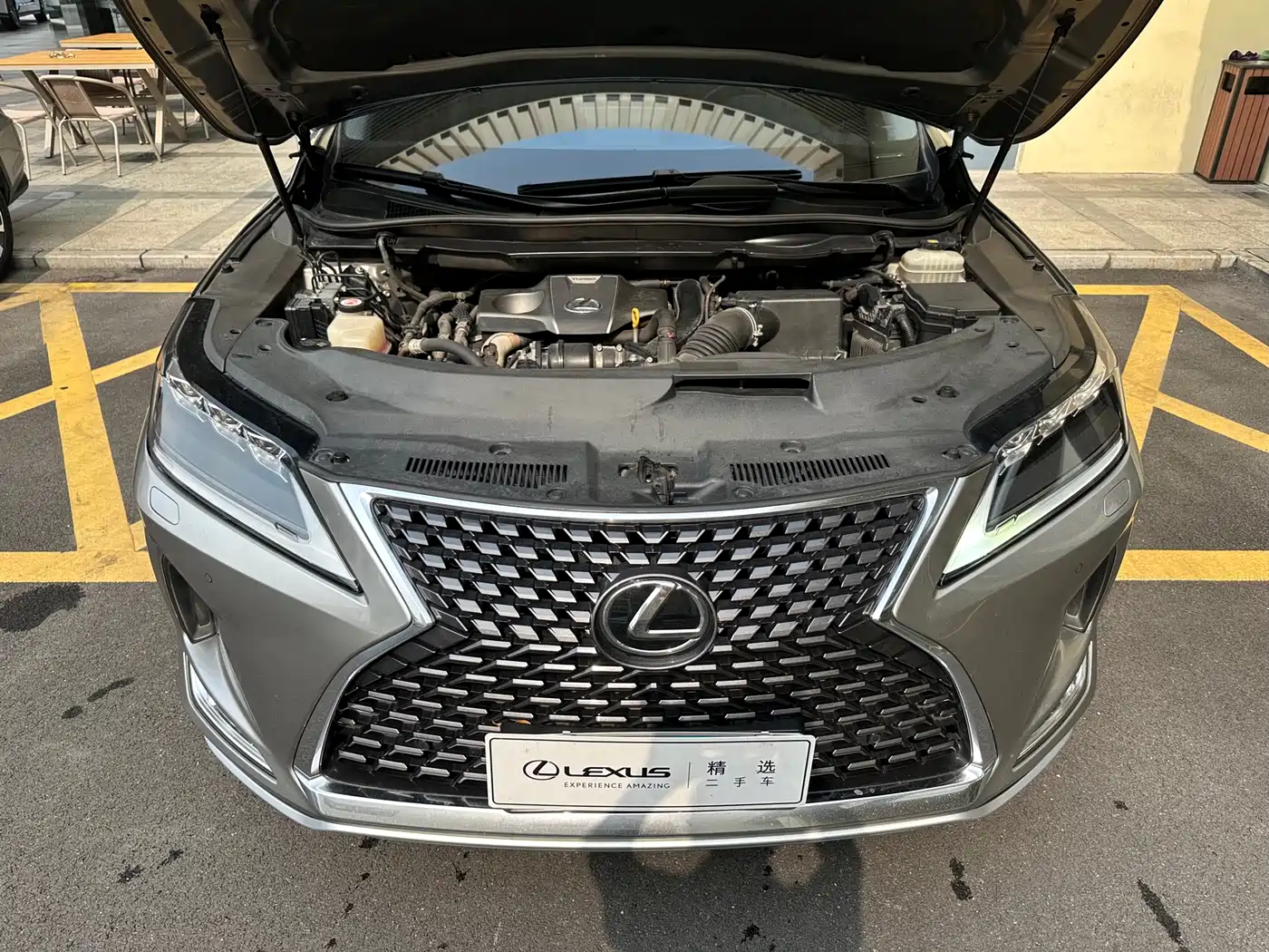 LEXUS RX