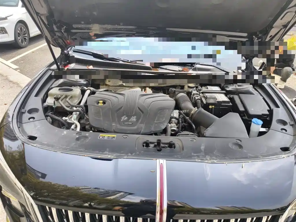 Hongqi H5 2024 2.0T Automatic Smart Connect Flag Smooth Edition фото 11
