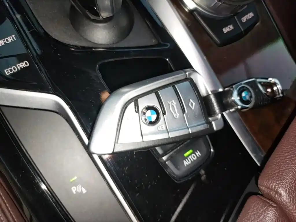 BMW 5 Series 2020 525Li Luxury Package фото 9