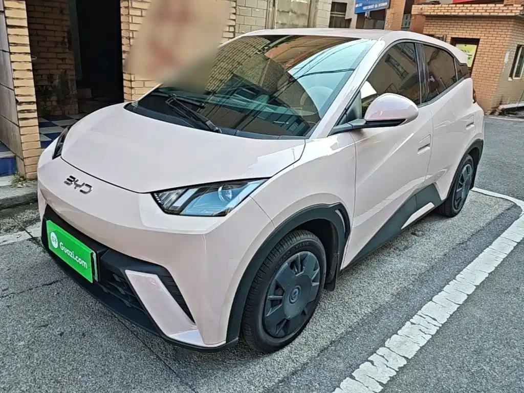BYD Seagull 2024 Glory Edition 305km Vitality Edition
