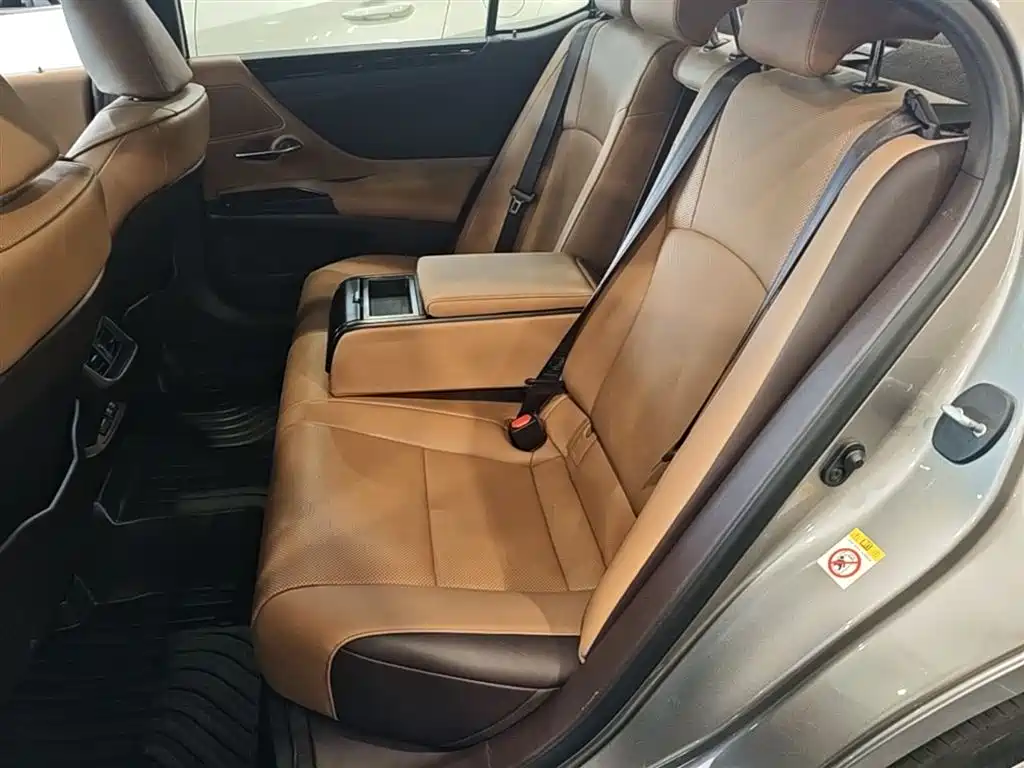 Lexus ES 2018 200 Luxury Edition China V фото 24