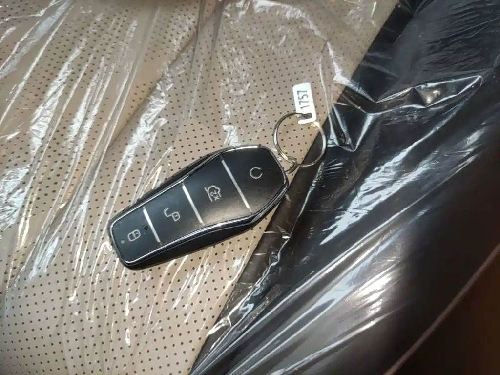 BYD Dolphin 2026 2025 420km Freedom Edition