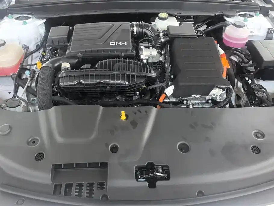 BYD Qin PLUS 2024 Glory Edition DM-i 55KM Leading фото 10