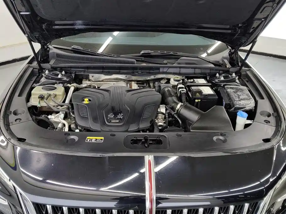 Hongqi H5 2023 2.0T Auto Smart Connect Flag Comfort фото 10