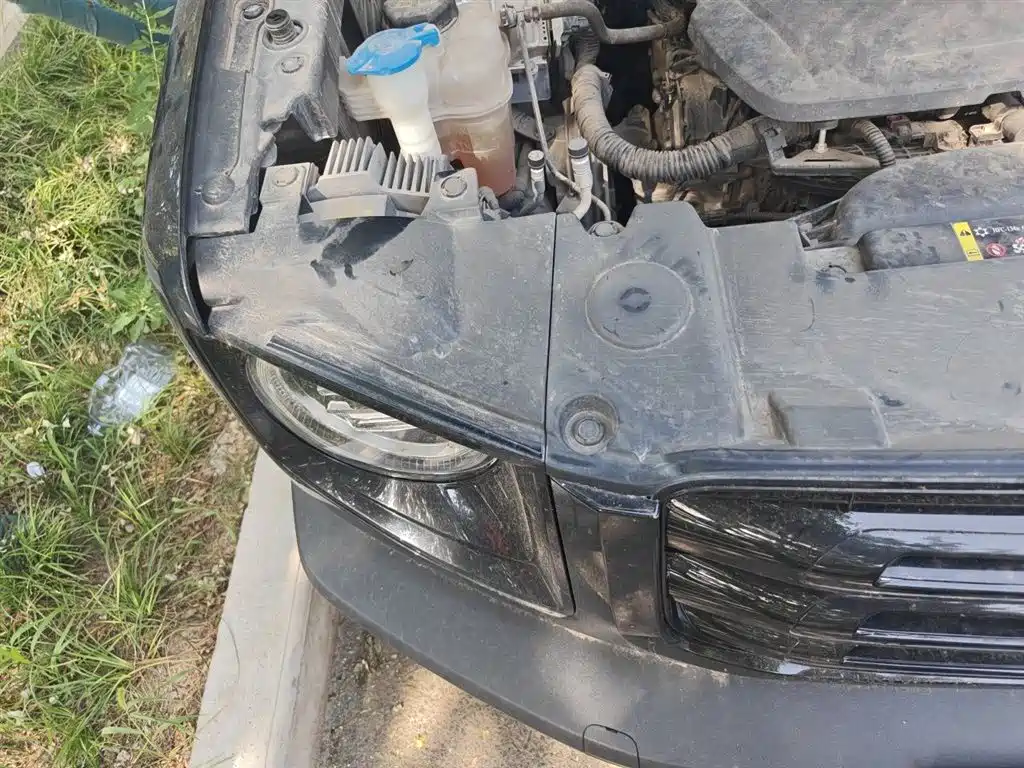 Haval Big Dog 2022 1.5T DCT FWD Border Collie Edition фото 23
