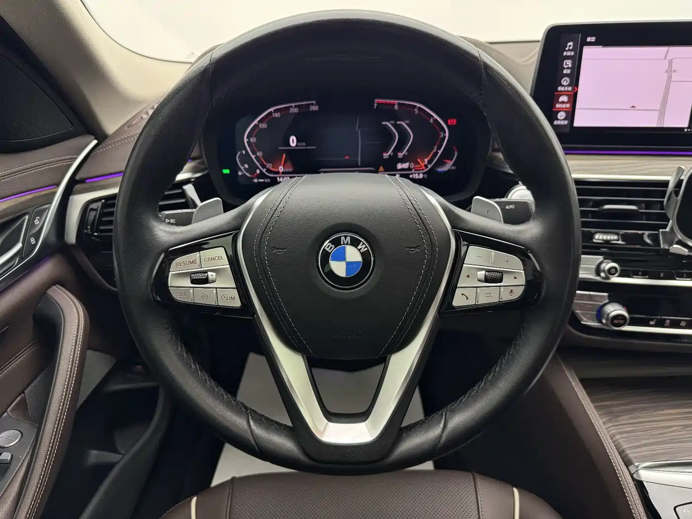 BMW 5 Series 2021 530Li Leading Luxury Package фото 25