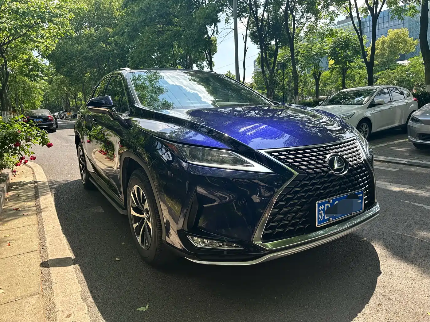 Lexus RX 2020 Facelift 300 2WD Elite Edition фото 3