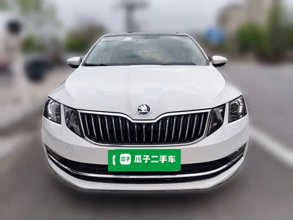Škoda Octavia 2018 TSI230 DSG Luxury Edition фото 9
