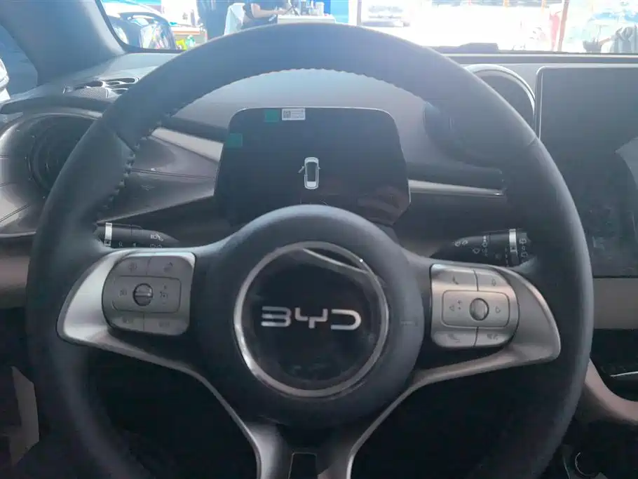 BYD Dolphin 2023 420km Freedom Edition фото 15