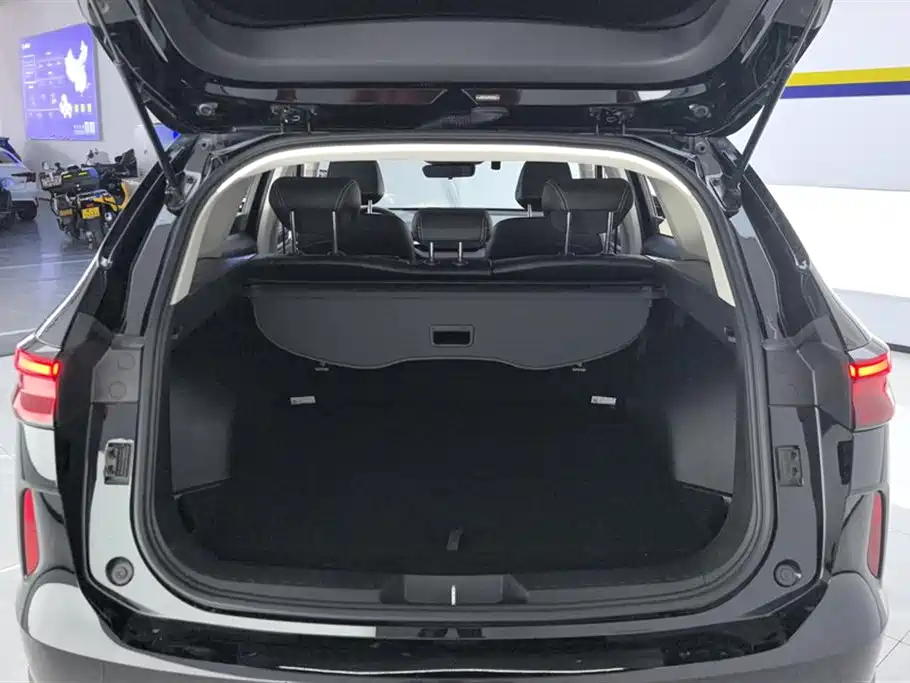 Haval H6 2022 3rd Gen 1.5T Auto 2WD Max фото 4