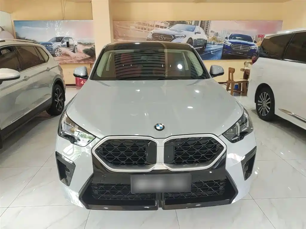 BMW X2 (Import) 2024 sDrive25i M Sport Package фото 3