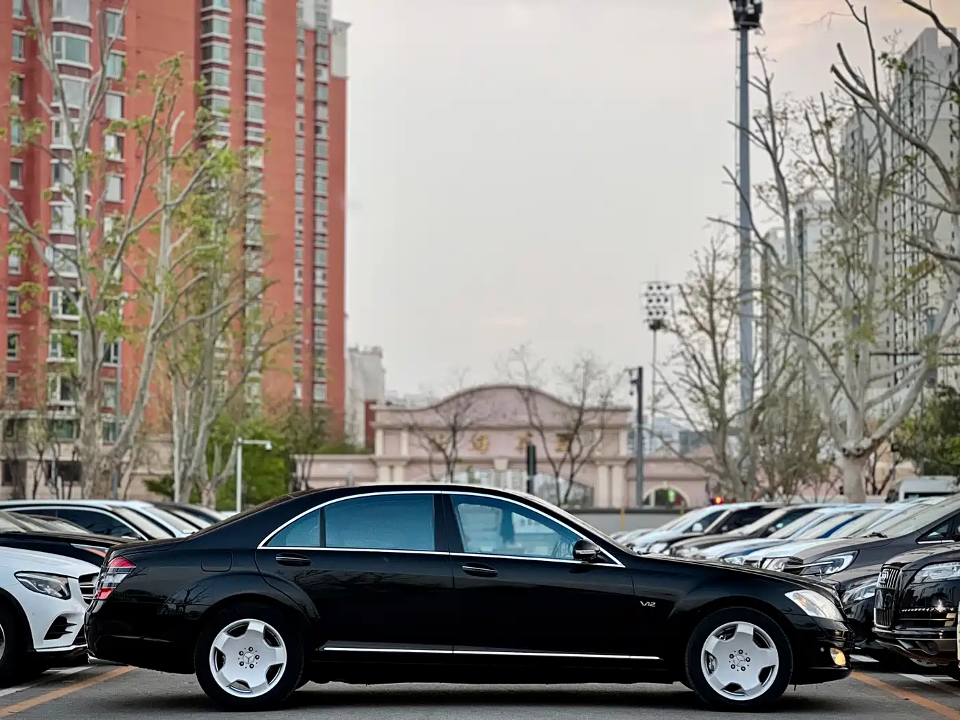 Mercedes-Benz S-Class 2008 Model S 600 L фото 4