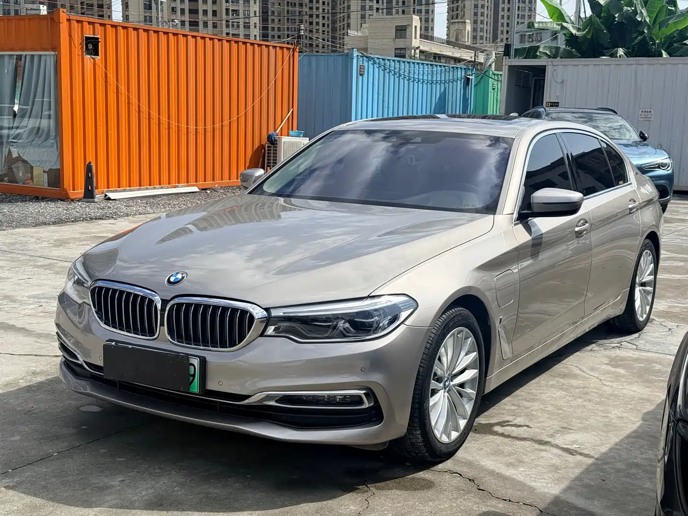 BMW 5 Series New Energy 2019 530Le Luxury Package