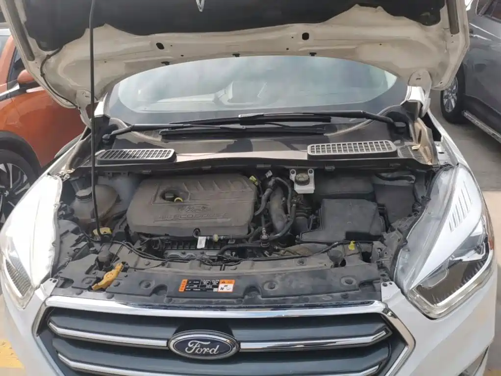 Ford Kuga 2020 2019 EcoBoost 180 2WD Platinum Wing Edition China VI