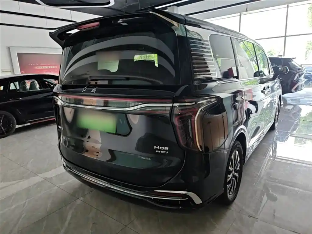 Hongqi HQ9 PHEV 2024 Model 2.0T AWD Luxury Edition фото 7