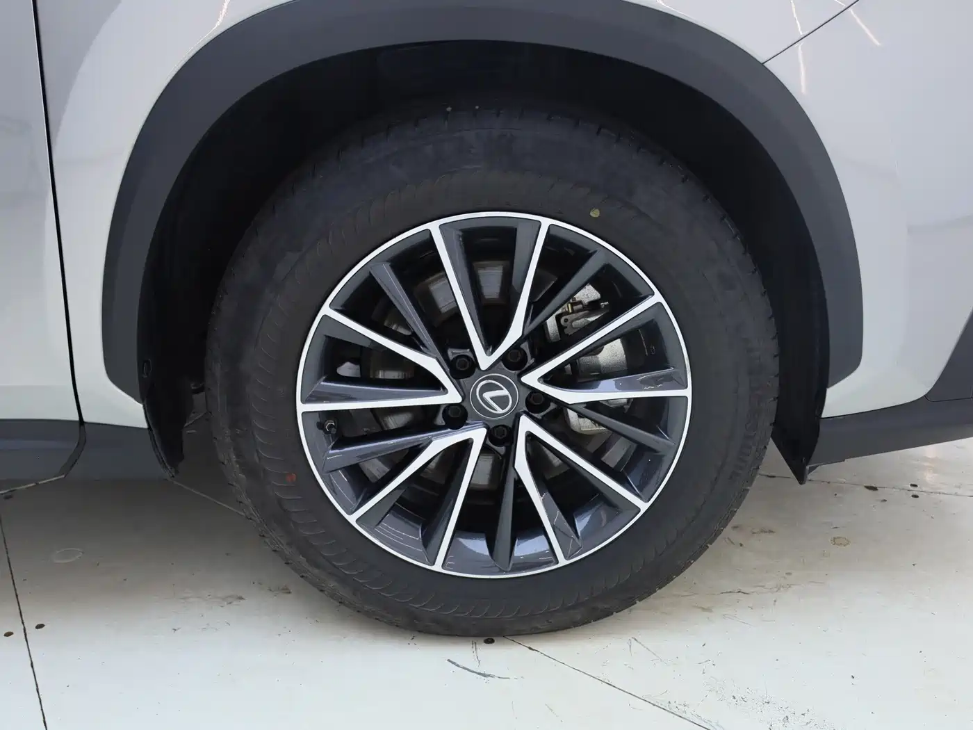 Lexus NX 2023 2022 260 FWD Joy Creation Edition