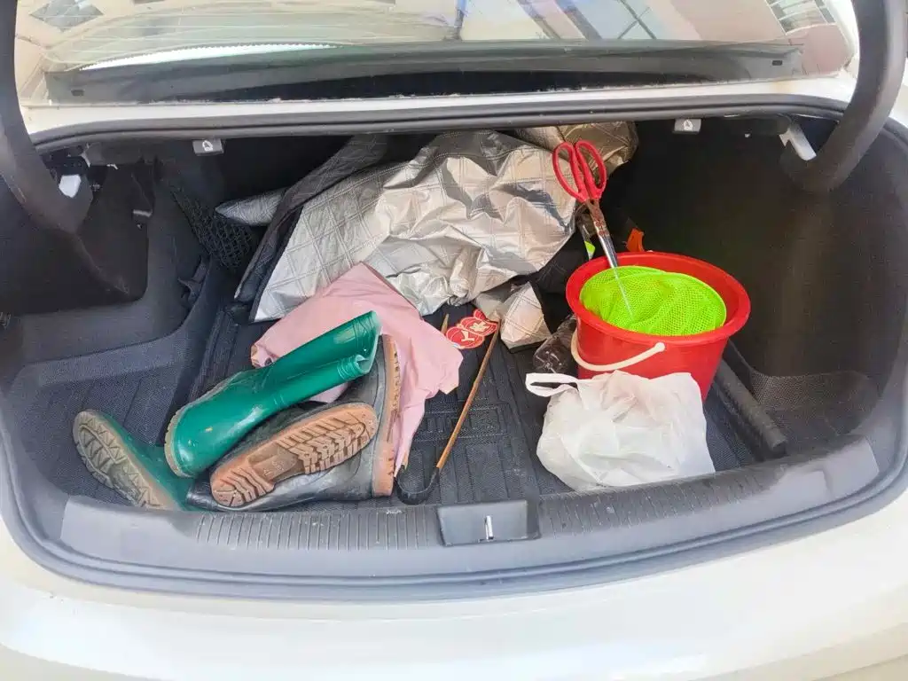 Buick Regal 2023 2023 552T Smart Enjoyment
