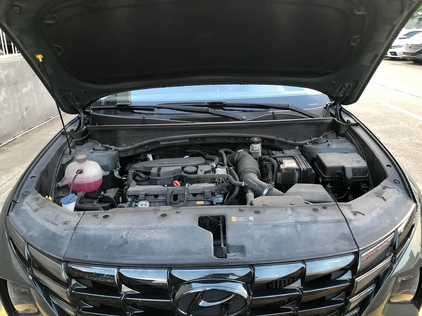 Hyundai Tucson 2023 2023 Tucson L 1.5T Automatic 2WD GLX Elite Edition
