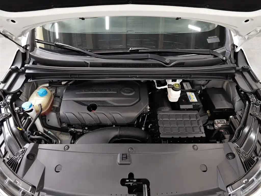 GAC Trumpchi Trumpchi M6 2021 PRO 270T DCT Premium Edition фото 6