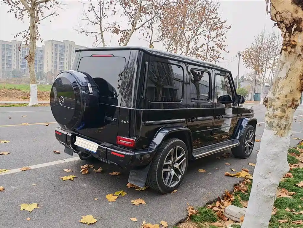 Mercedes-Benz G-Class 2022 G 350 фото 2