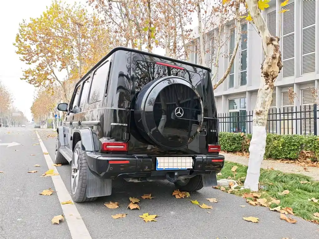 Mercedes-Benz G-Class 2022 G 350 фото 4