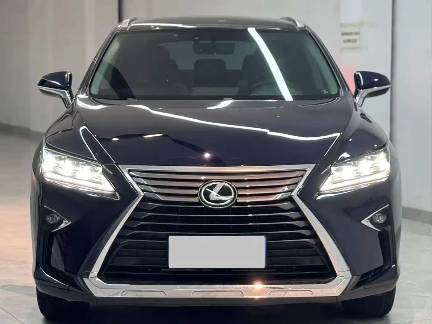 Lexus RX 2016 300 4WD Elegance Edition (China V) фото 2