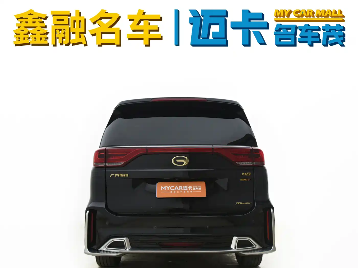GAC Trumpchi Trumpchi M8 2021 Master Series 390T 4-Seat Premium Edition фото 13