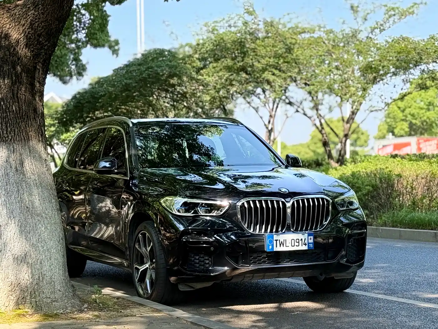 BMW X5 2022 Facelift xDrive 40Li M Sport Package фото 3