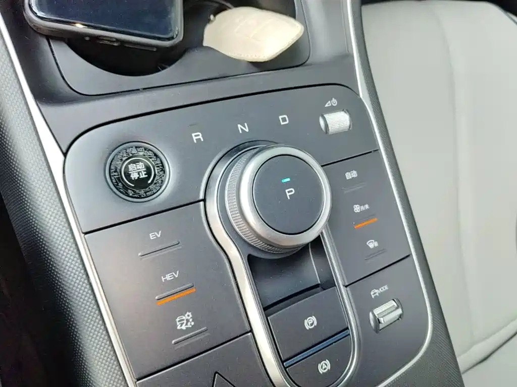 BYD Destroyer 05 2024 Glory Edition DM-i 55KM Luxury фото 14