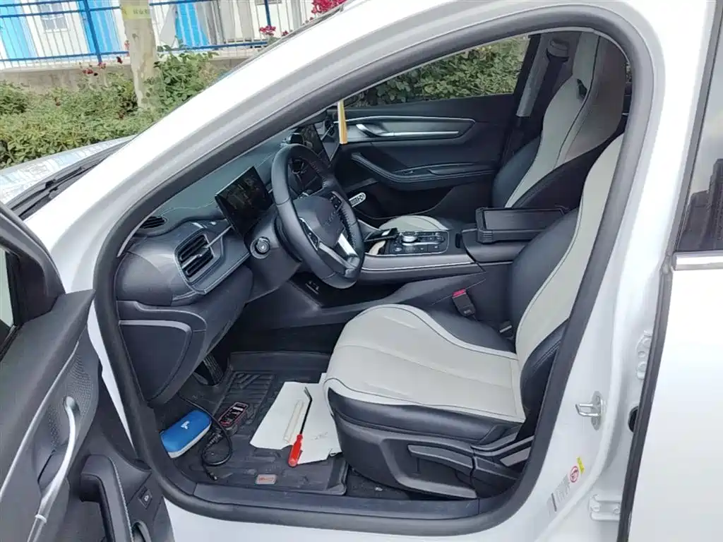 BYD Destroyer 05 2024 Glory Edition DM-i 55KM Luxury фото 15