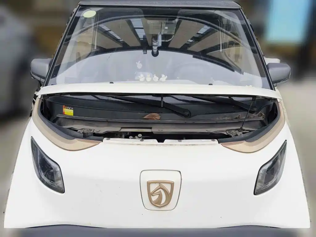 Baojun E200 2021 2020 305KM Smart Edition