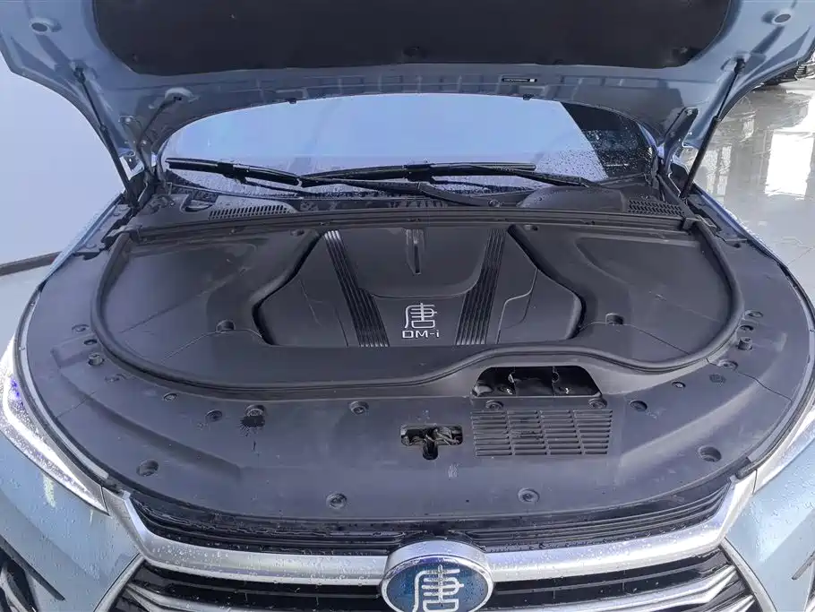 BYD Tang New Energy 2023 Model DM-i Champion Edition 112KM Premium фото 10