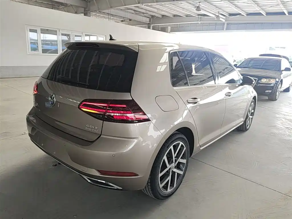 Volkswagen Golf 2019 280TSI DSG Luxury China VI фото 7